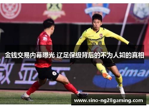 金钱交易内幕曝光 辽足保级背后的不为人知的真相