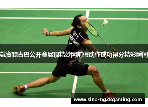 戴资颖古巴公开赛展现精妙网前假动作成功得分精彩瞬间