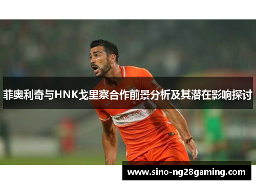菲奥利奇与HNK戈里察合作前景分析及其潜在影响探讨 菲奥利奇与HNK戈里察合作前景分析及其潜在影响探讨