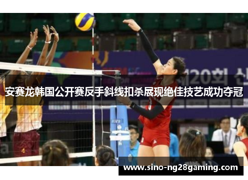 安赛龙韩国公开赛反手斜线扣杀展现绝佳技艺成功夺冠