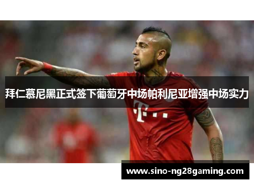 拜仁慕尼黑正式签下葡萄牙中场帕利尼亚增强中场实力 拜仁慕尼黑正式签下葡萄牙中场帕利尼亚增强中场实力