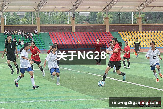 关于NG28